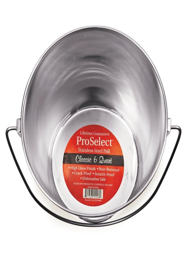Pro Select ProSelect Heavy Duty Stainless Steel Pails — Durable Pails for Kennels and Farms - 8¾", 6-Quart - Image 1